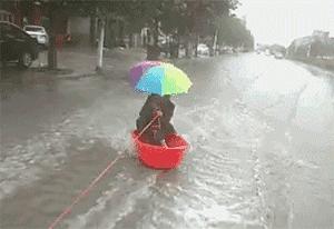 河北,历史底蕴与现代风采的交融之地