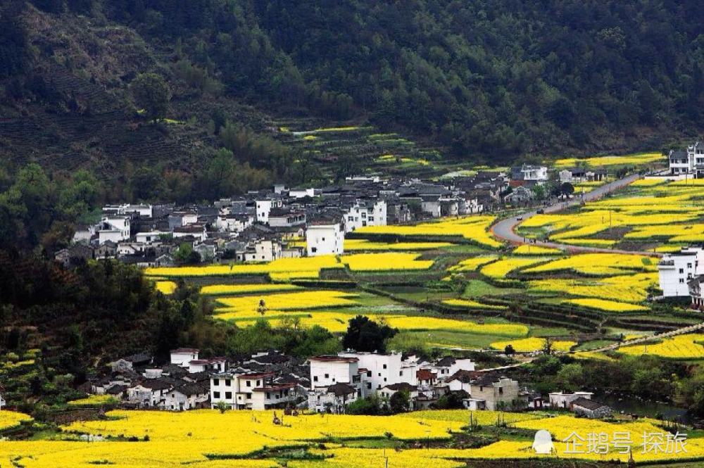 江西深度游攻略,打造难忘江西之旅全指南