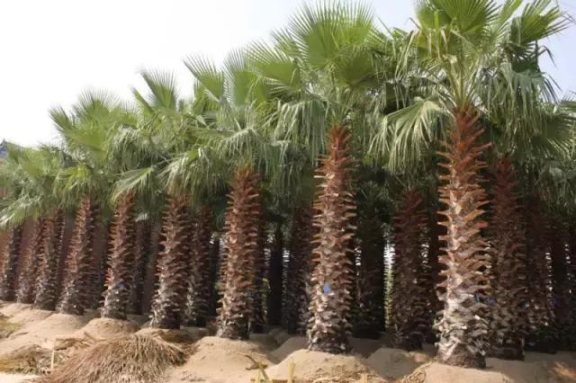 海南尊谊盛典,领导与朋友共襄盛举