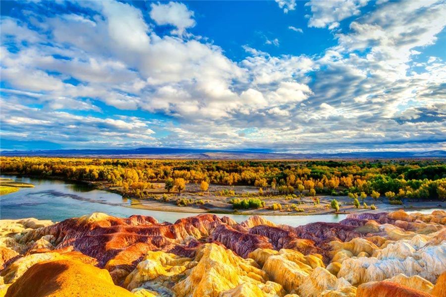 新疆之韵,探索独特文化与风情